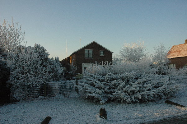 dsc_1461.jpg