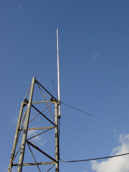 DSC00829.JPG (366.91 KiB) 42525 keer bekeken De rondstraler eenzaam op 4 meter hoogte